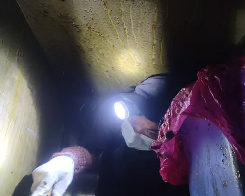 守护健康“食”刻关注